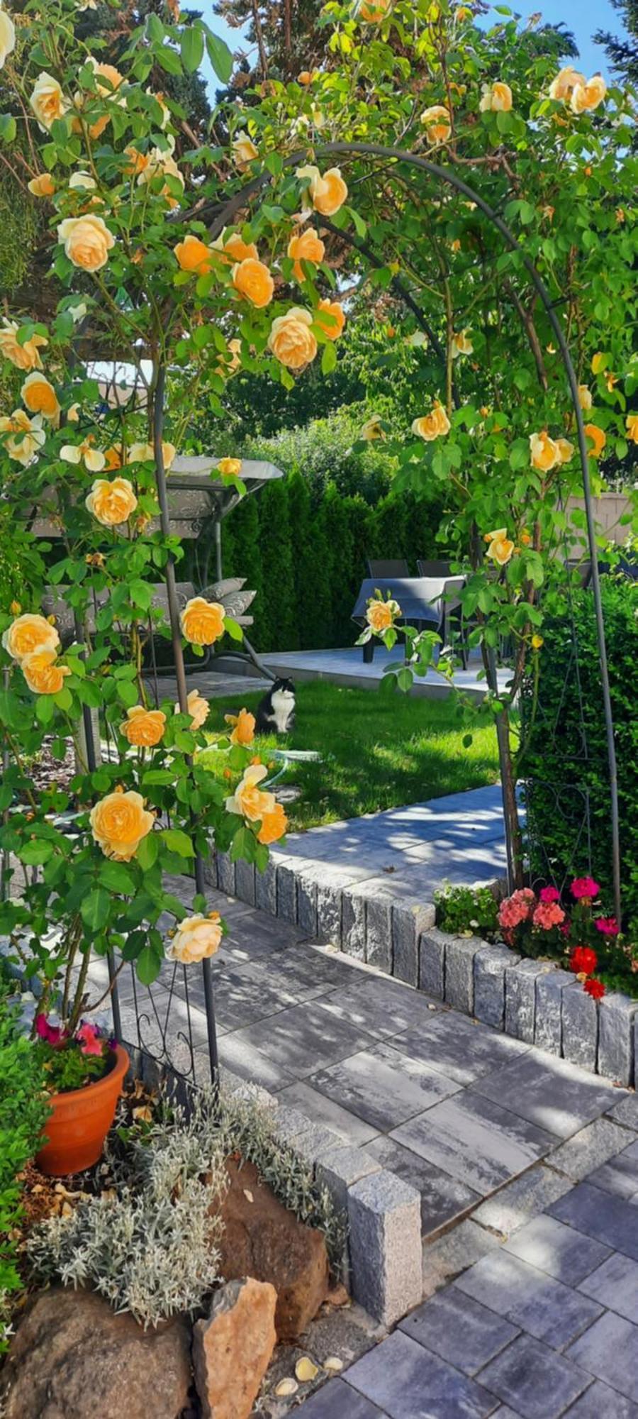 Villa Shafaly Mariánské Lázně Exteriör bild