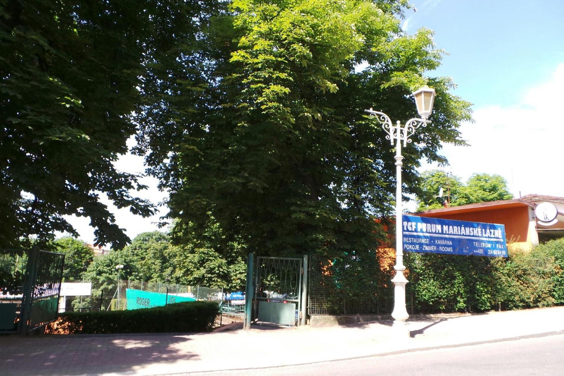 Villa Shafaly Mariánské Lázně Exteriör bild