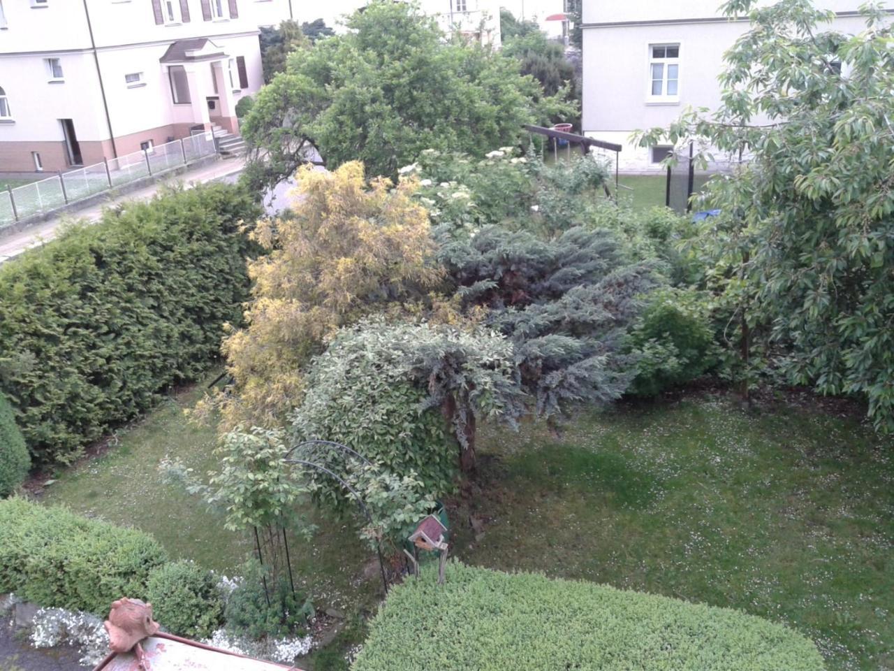 Villa Shafaly Mariánské Lázně Exteriör bild